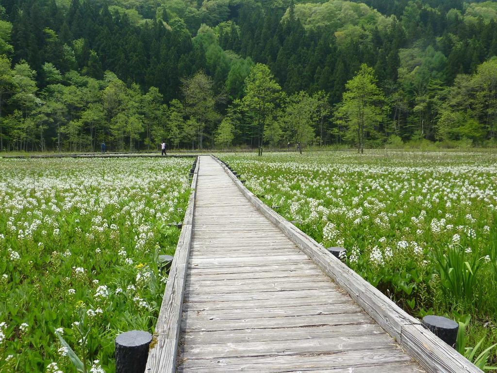 彩虹山林小屋 白马村 外观 照片