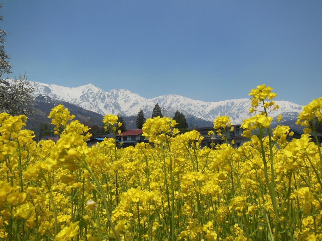 彩虹山林小屋 白马村 外观 照片